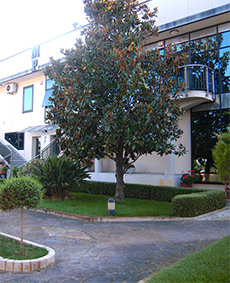 esterno3